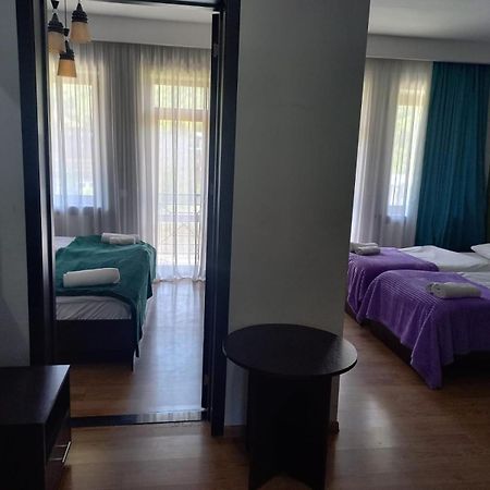 Didveli, Bakuriani Διαμέρισμα Εξωτερικό φωτογραφία